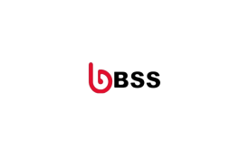 BSS (Binary Security Systems)